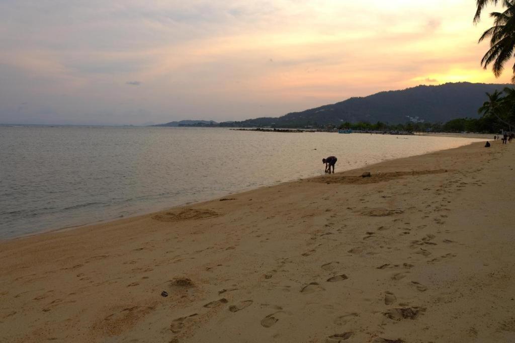 Rose Garden Samui Bungalows Lamai Beach  Dış mekan fotoğraf
